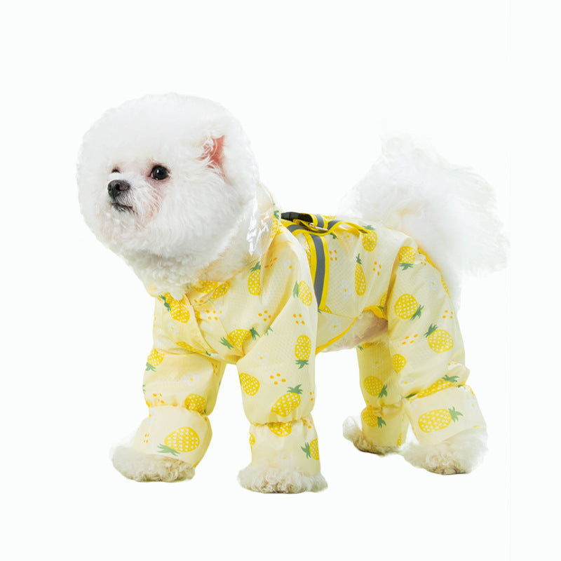 Fruit Printed Waterproof Raincoat