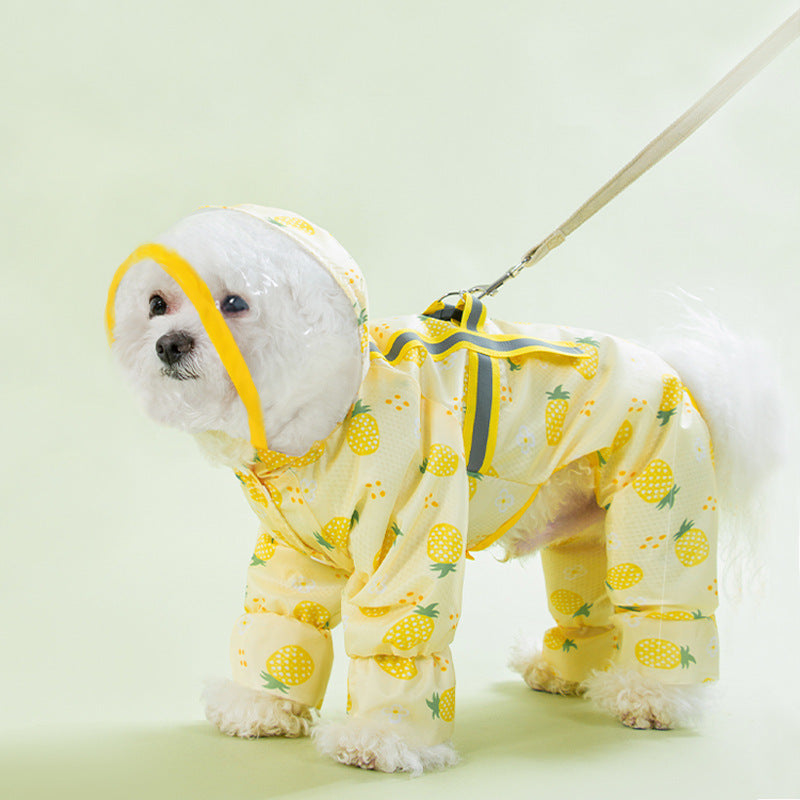 Fruit Printed Waterproof Raincoat