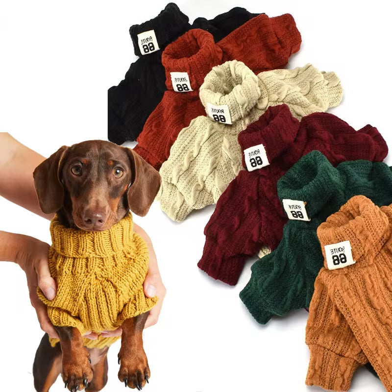 Knit Sweater Turtleneck